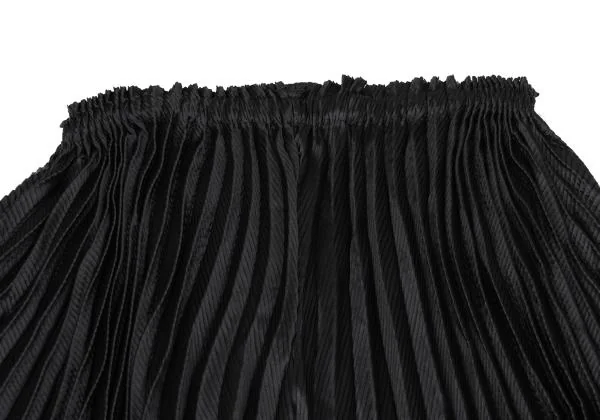 ISSEY MIYAKE Double Pleated Wide Pants K-159899_002