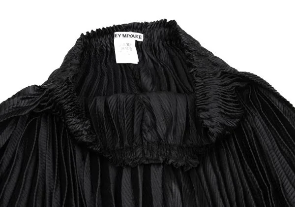 ISSEY MIYAKE Double Pleated Wide Pants K-159899_003