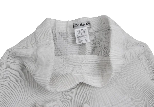 ISSEY MIYAKE 3D Steam Stretch Pleats Asymmetry Skirt K-159904_005