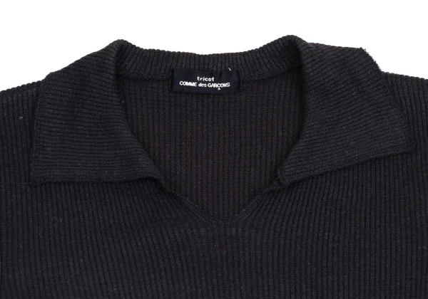 tricot COMME des GARCONS Ribbed Skipper Short Sleeve Polo Shirt K-161191_006