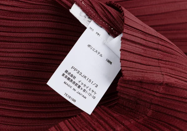 PLEATS PLEASE Mock-neck Long Sleeve Top K-161435_011