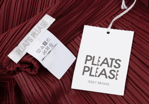 PLEATS PLEASE Mock-neck Long Sleeve Top K-161435_012