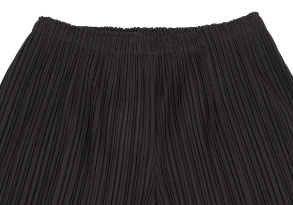 PLEATS PLEASE Jacket & Wide Pants K-161439_012