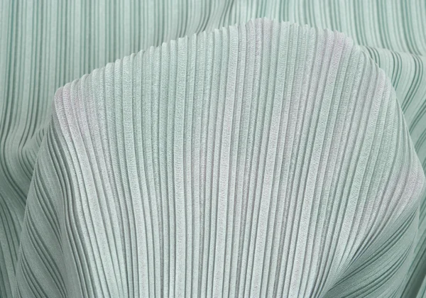 PLEATS PLEASE Rib Pleated Turtleneck T Shirt K-161500_010