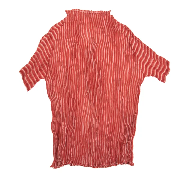 ISSEY MIYAKE WHITE LABEL Pleated Gradient T Shirt K-161515_002