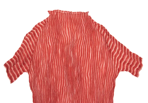 ISSEY MIYAKE WHITE LABEL Pleated Gradient T Shirt K-161515_003