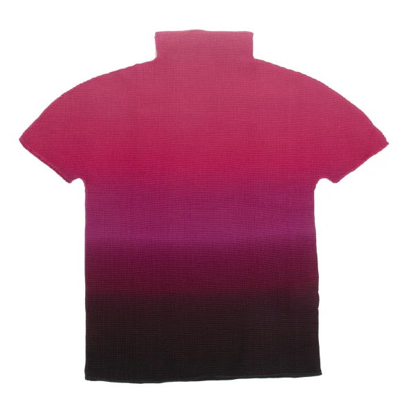 ISSEY MIYAKE me Gradation Stretch Pleats High-neck T-shirt K-161745_002