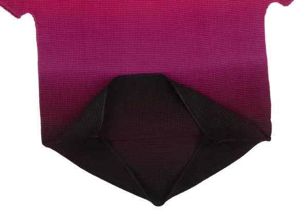 ISSEY MIYAKE me Gradation Stretch Pleats High-neck T-shirt K-161745_007