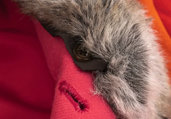 tricot COMME des GARCONS Faux Fur Collar Panel Switching Blouson K-161888_005
