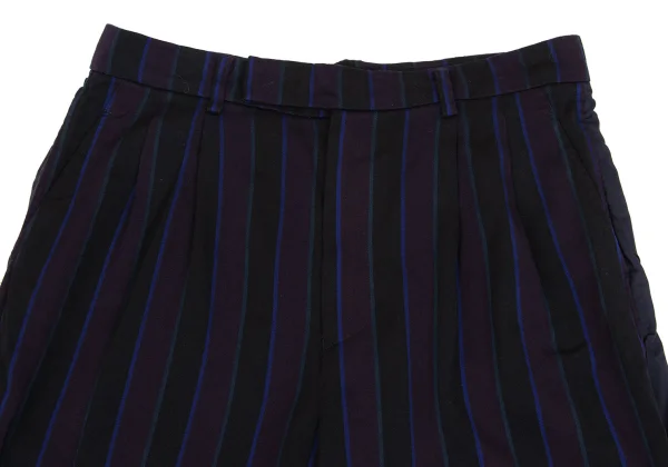 tricot COMME des GARCONS Dyed Stripe Switching Pants K-161903_002