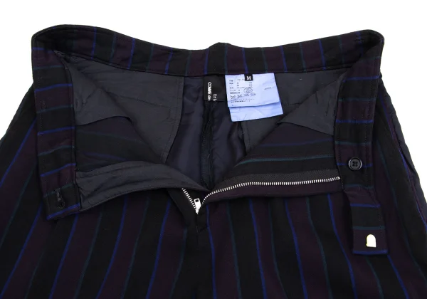 tricot COMME des GARCONS Dyed Stripe Switching Pants K-161903_004