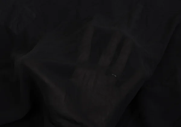 tricot COMME des GARCONS Span Embroidery Sheer Sleeveless Top K-161934_017