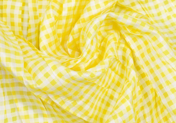 PLEATS PLEASE Wrinkled Pleats Check Long Sleeve Shirt K-161970_014