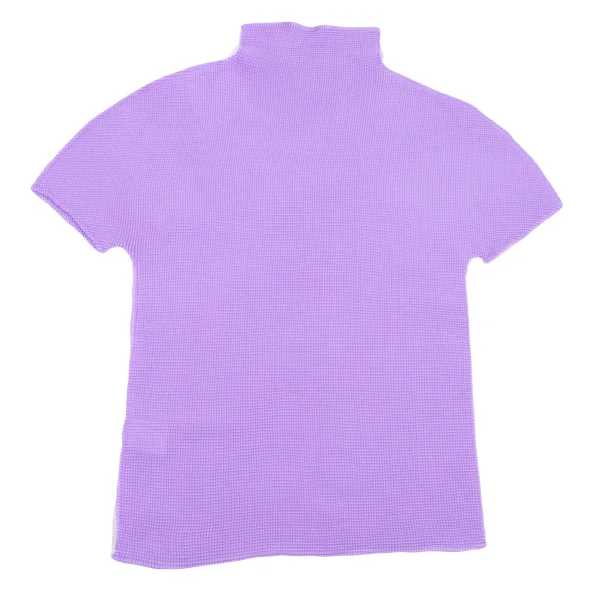 ISSEY MIYAKE me Stretch Pleated High Neck T Shirt K-162124_007