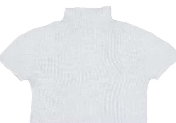 ISSEY MIYAKE me Stretch Pleats Turtle Neck T Shirt K-162130_003