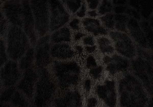 MISS DIOR Leopard Faux Fur Blouson K-162253_016