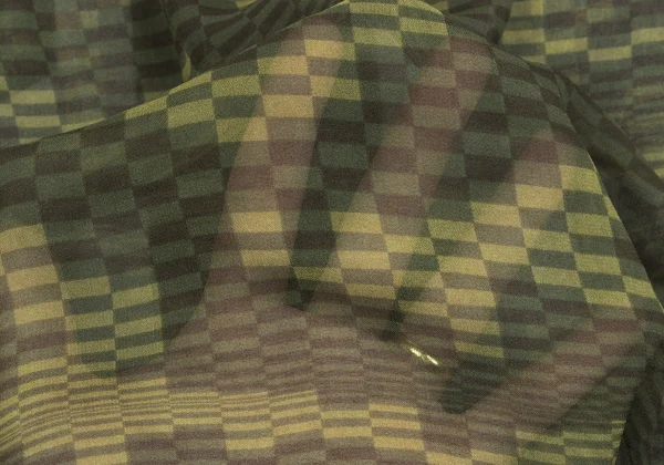 COMME des GARCONS Camouflage See-through Shirt K-162533_016