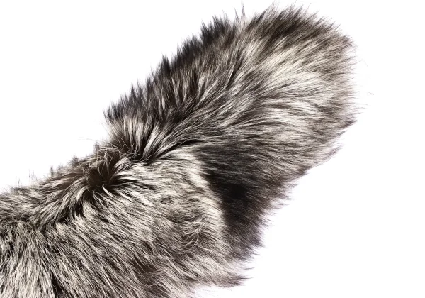 VIVIENNETAM Fox Fur Tippet K-162751_003
