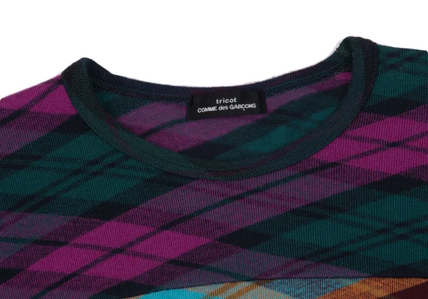 tricot COMME des GARCONS Switching Bias Check Knit Top K-162775_004