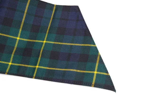 COMME des GARCONS Checker Wide Belt K-162860_005