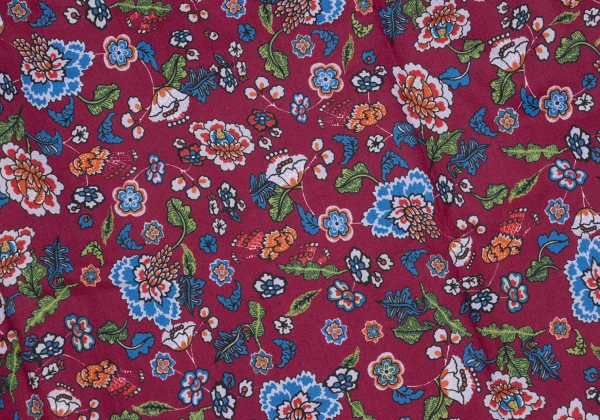 COMME des GARCONS SHIRT Botanical Printed Long Sleeve Shirt K-163028_011