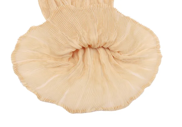 ISSEY MIYAKE See-through Pleats T SHirt K-163173_008