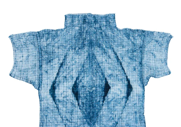 ISSEY MIYAKE Printed Wooly Pleats T Shirt K-163174_003