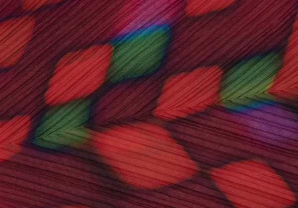 ISSEY MIYAKE Colorful Graphic Print Bias Pleats High necked Top K-163178_012