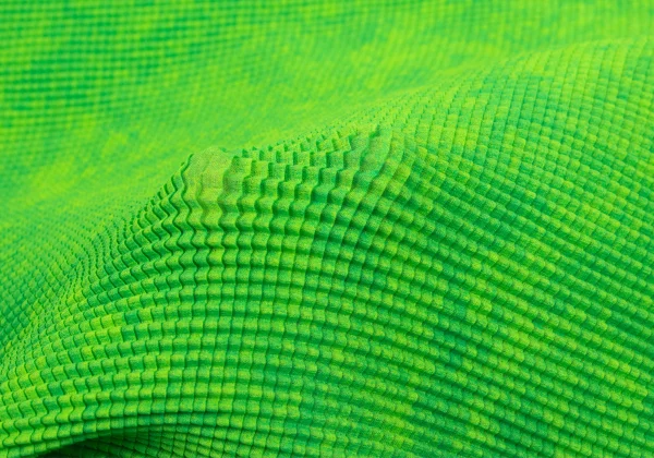 ISSEY MIYAKE PLEATS (T.) Fabric Print Stretch Pleats T-shirt K-163180_010