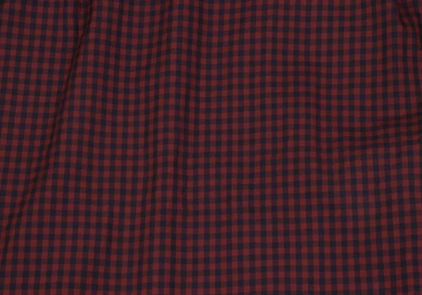 Vivienne Westwood MAN Checked Switching Orb Embroidered Shirt K-163221_013