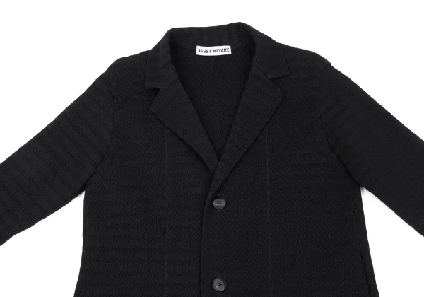 ISSEY MIYAKE Stripe Pleated Jacket K-163330_003