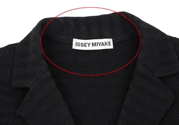 ISSEY MIYAKE Stripe Pleated Jacket K-163330_004