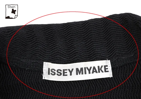 ISSEY MIYAKE Stripe Pleated Jacket K-163330_005