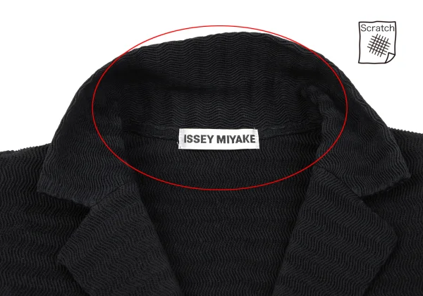 ISSEY MIYAKE Stripe Pleated Jacket K-163330_006