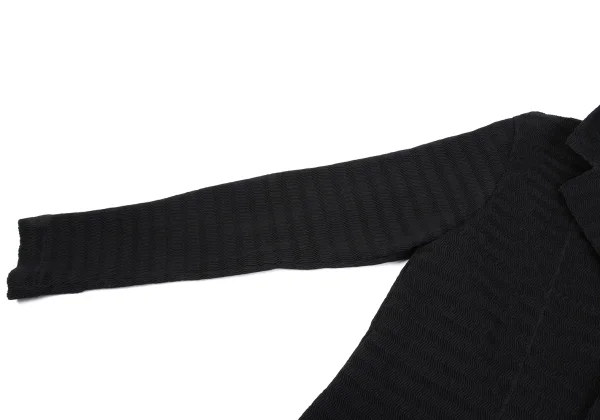 ISSEY MIYAKE Stripe Pleated Jacket K-163330_007