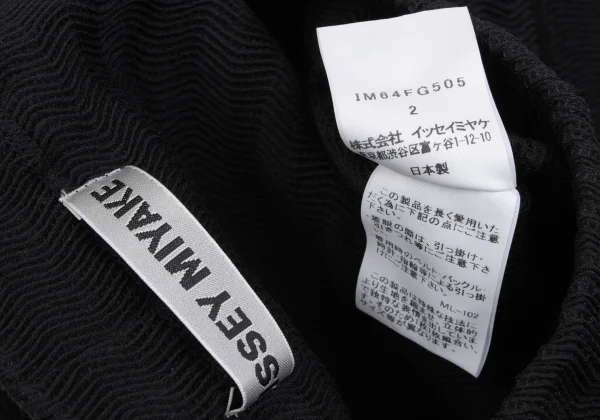 ISSEY MIYAKE Stripe Pleated Trapezoid Skirt K-163331_011