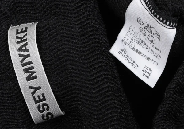 ISSEY MIYAKE Stripe Pleated Trapezoid Skirt K-163331_012