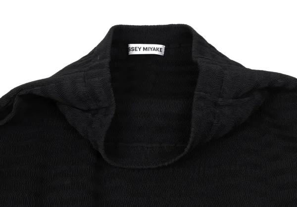 ISSEY MIYAKE Stripe Pleated Jacket & Skirt K-163332_013