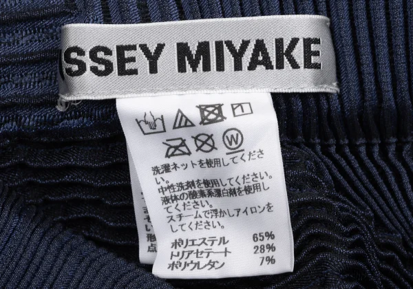 ISSEY MIYAKE 3D Steam Stretch Pleats Skirt K-163340_012