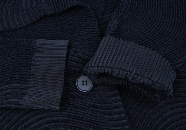 ISSEY MIYAKE 3D Steam Stretch Pleats Switching Wave Jacket K-163351_006