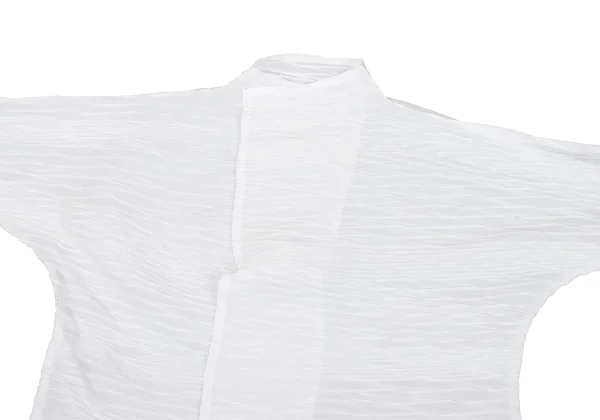 ISSEY MIYAKE Pleated 1B Jacket K-163353_003