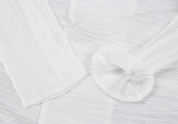 ISSEY MIYAKE Pleated 1B Jacket K-163353_007