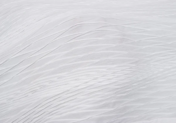 ISSEY MIYAKE Wrinkle Pleated Sleeveless Tunic K-163366_009