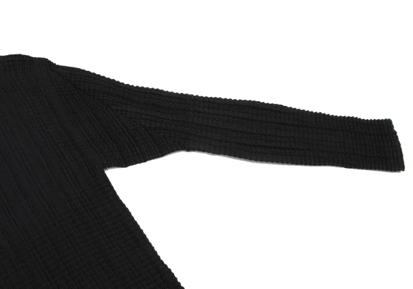 ISSEY MIYAKE Pleated Crew Neck T-shirt K-163372_006