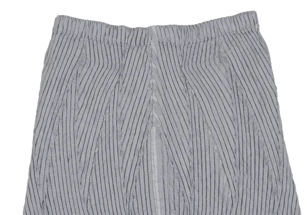 ISSEY MIYAKE 3D Steam Stretch Pleated Skirt K-163377_003