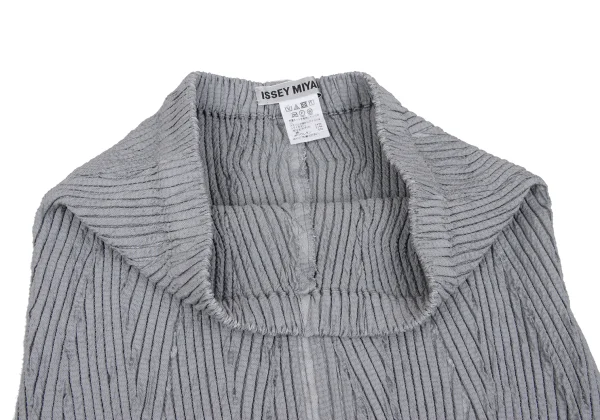 ISSEY MIYAKE 3D Steam Stretch Pleated Skirt K-163377_004