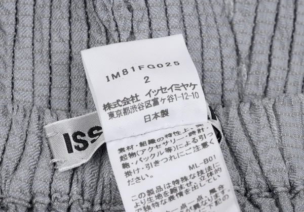 ISSEY MIYAKE 3D Steam Stretch Pleated Skirt K-163377_009