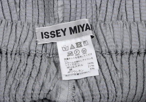 ISSEY MIYAKE 3D Steam Stretch Pleated Skirt K-163377_010