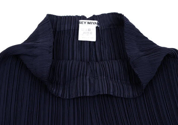 ISSEY MIYAKE Pleated Straight Pants K-163380_003
