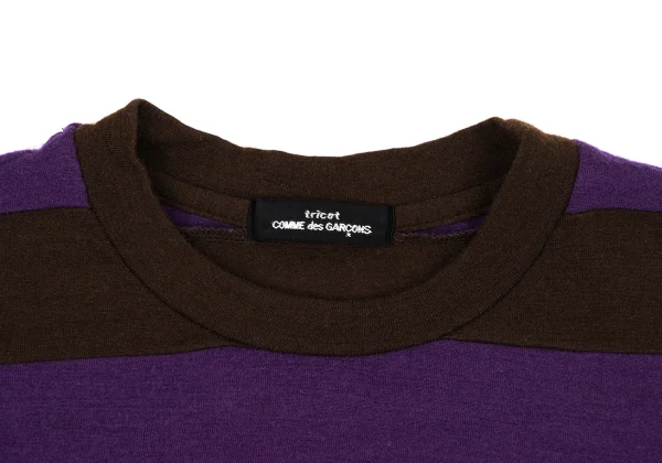 tricot COMME des GARCONS Color Striped Switching Knit Top K-163507_004